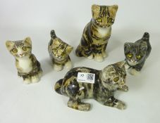 Five Winstanley Cats,