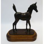'Elegant' bronze model of a standing foal by Jill McKinney, Ltd. ed.