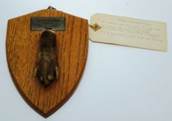 Otter Paw on oak shield with plaque 'The Quorn Hunt Friday 4th March 1936',