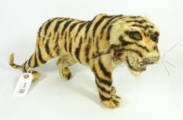 Taxidermy - a Tiger skin model of a prowling Tiger with snarling features and green glass eyes,