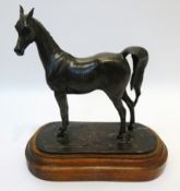 'Watchful Eyes' bronze model of a standing foal by Jill McKinney, Ltd. ed.