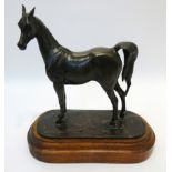 'Watchful Eyes' bronze model of a standing foal by Jill McKinney, Ltd. ed.