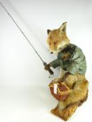 Taxidermy - Fishing Fox mounted in jacket with basket & rod, on a branch,