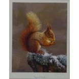 'Squirrel Nutkin', limited edition colour print no.