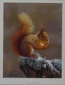 'Squirrel Nutkin', limited edition colour print no.