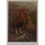 Grouse in Moorland Landscape, limited edition colour print no.