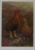 Grouse in Moorland Landscape, limited edition colour print no.