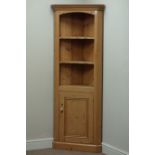 Pine corner cabinet, single panelled cupboard, W68cm,