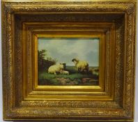 Sheep and Lamb in Rural Scene,