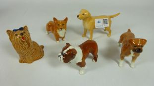 Five Beswick Dogs; Boxer, Labrador, 'Bosun' Bulldog,