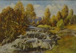 River Waterfall Scene,