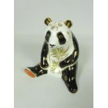 Royal Crown Derby Giant Panda paperweight, with gold stopper, H11.