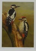 Woodpeckers, limited edition colour print no.