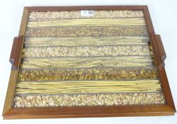 Rustic corn display tray W39cm Condition Report <a href='//www.davidduggleby.