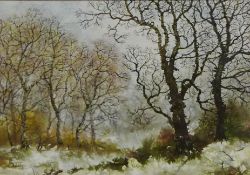 'Melting Snow', watercolour on tissue by Patricia Moss signed Tish,