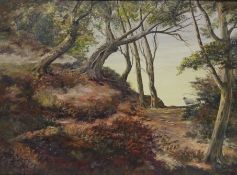 A Sheep and Lamb in Woodland Scene,