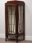 Early 20th century Art Deco period mahogany display cabinet,