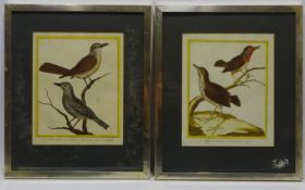 Pair 18th century hand coloured Bird engravings from George-Louis Leclerc,