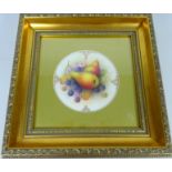 Royal Worcester plaque hand painted with pears & berries with gilt detail, signed A Shuck,
