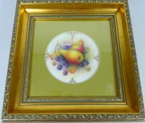 Royal Worcester plaque hand painted with pears & berries with gilt detail, signed A Shuck,