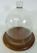 Large glass cheese dome on a mahogany base,