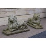 Pair composite stone recumbent lions, L59cm Condition Report <a href='//www.