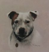 John Naylor (British Contemporary): Staffordshire Bull Terrier, pastel signed and dated 2002,