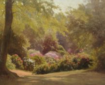 Edward Henry Holder (British 1847-1922): Rhododendrons Richmond Park,