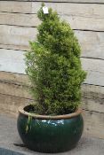 Large moss green glazed planter,