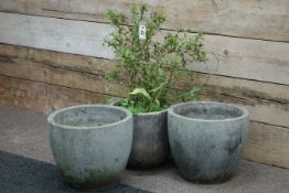 Pair composite stone planters and another planter with shrub