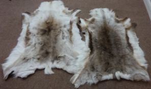 Two Reindeer skin rugs L130cm Condition Report <a href='//www.davidduggleby.