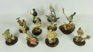 Collection of Country Artists models of bird sculptures (10) Condition Report