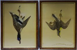 Hanging Mallard and One other Game Bird,