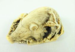 19th/ early 20th Century ivory Netsuke carved as a boar on a bed of leaves,
