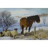 Shire Horse and Sheep in Winter Landscape,