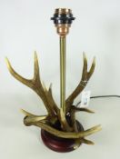 Stag antler table lamp,