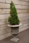 Large composite stone centre piece urn planted with shrub,