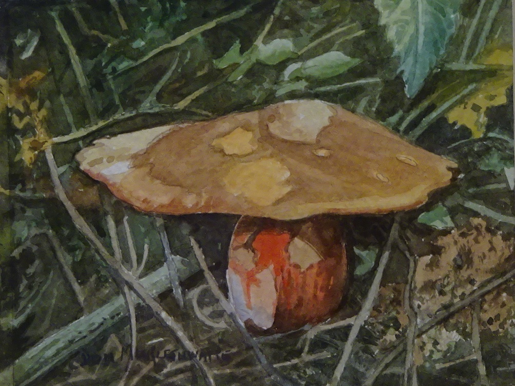 Studies of Toadstools, pair watercolours signed by Don Micklethwaite (British 1936-), - Image 3 of 3