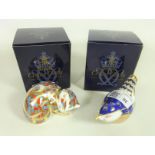 Two Royal Crown Derby paperweights Wren and Contented Kitten both with gold stoppers and boxes