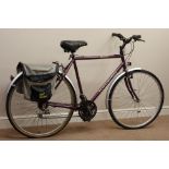 Raleigh Pioneer 15 speed bicycle Condition Report <a href='//www.davidduggleby.