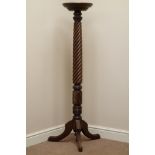 19th century mahogany rope twist jardiniere,