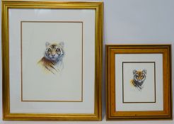 Tiger and Cub, pair gouache on paper signed Warick Higgs (British 1956-),