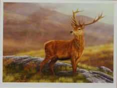 'Red Stag', limited edition colour print no.