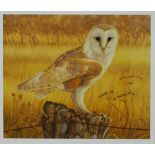 'Barn Owl at Rest', limited edition colour print no.