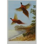 'Pheasants at Deepdale', limited edition colour print no.