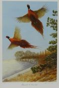 'Pheasants at Deepdale', limited edition colour print no.