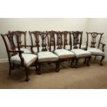 Reproduction set ten (8+2) mahogany Chippendale style dining chairs, shaped pieced splat back,