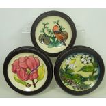 Three Moorcroft framed pin dishes/ wall plaques; one depicting a bird and plumbs,