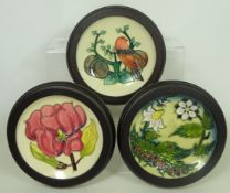Three Moorcroft framed pin dishes/ wall plaques; one depicting a bird and plumbs,