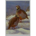 'Red Legged Partridges in Snow', limited edition colour print no.